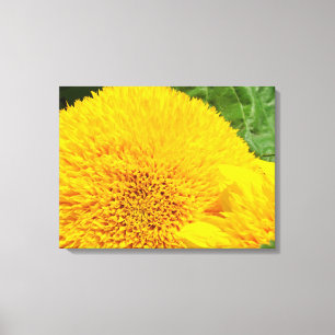 Impressions sur toile de tournesols panneaux Fleur
