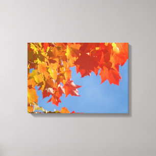 Impressions sur toile Feuilles d'automne orange
