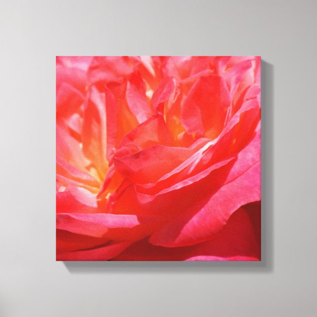 Impressions sur toile rouge rose Fleurs Roses (Recto)