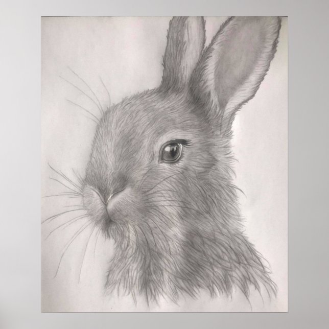 Imprimantes d'art lapin, Affiches (Devant)