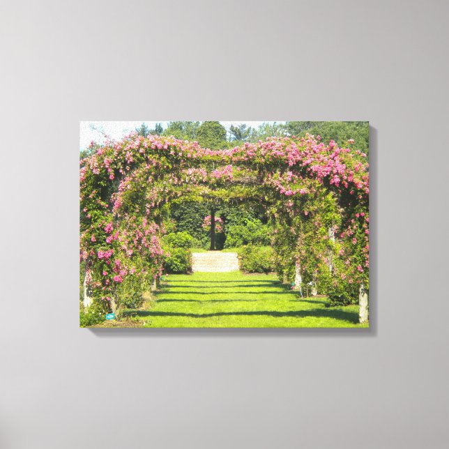 Imprimantes de toile enrobée d'arc rose (Recto)