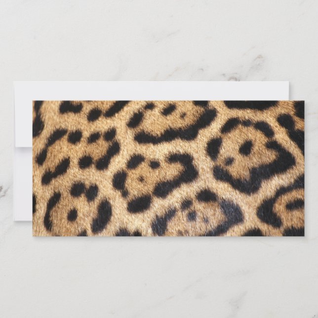 Imprimer la photo de la fourrure Jaguar (Devant)