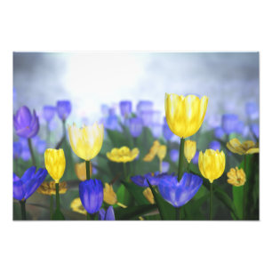 Imprimer la photo du jubilé d'or