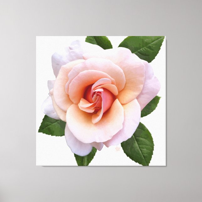 Imprimer la toile Rose de cache (Recto)