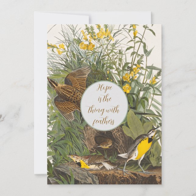 Imprimer vintage Audubon Meadowlark (Devant)