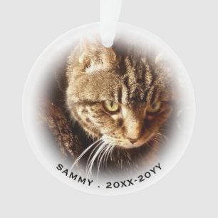 In Love Memory 2 Nom photo Cat Dog Pet Memorial