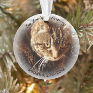 In Love Memory Photo Name Cat Dog Pet Memorial