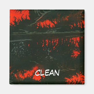 "Incendie de marais n° 1" Magnet d'état du lave-va