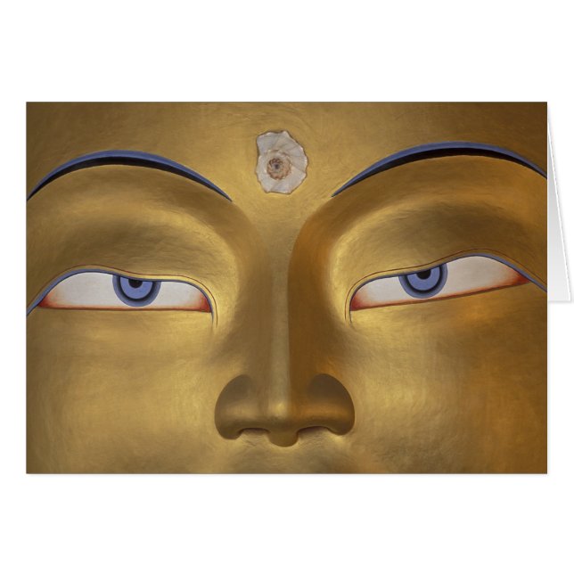 Inde du Nord, Ladakh, Thikse gompa (Devant horizontal)