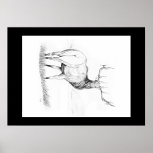 Indécision ~ Poster du wapiti