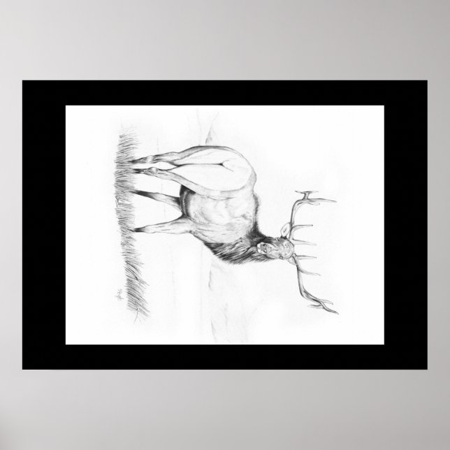 Indécision ~ Poster du wapiti (Devant)