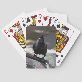 Index standard des cartes à jouer aux oiseaux