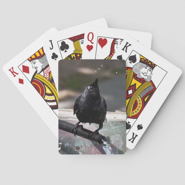 Index standard des cartes à jouer aux oiseaux (dos)