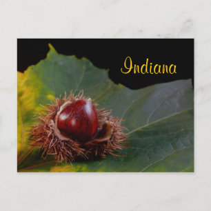 Indiana, Carte postale de feuille d'automne avec n