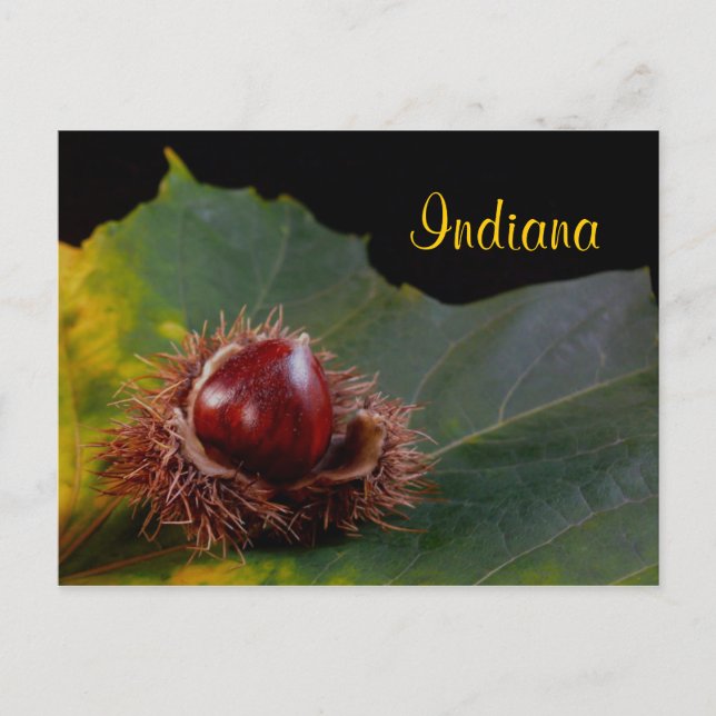 Indiana, Carte postale de feuille d'automne avec n (Devant)