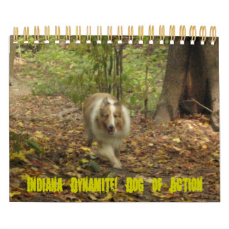 Indiana Dynamite ! Calendrier des chiens d'action
