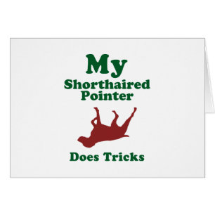 Indicateur aux cheveux courts allemand