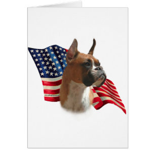 Indicateur de boîte