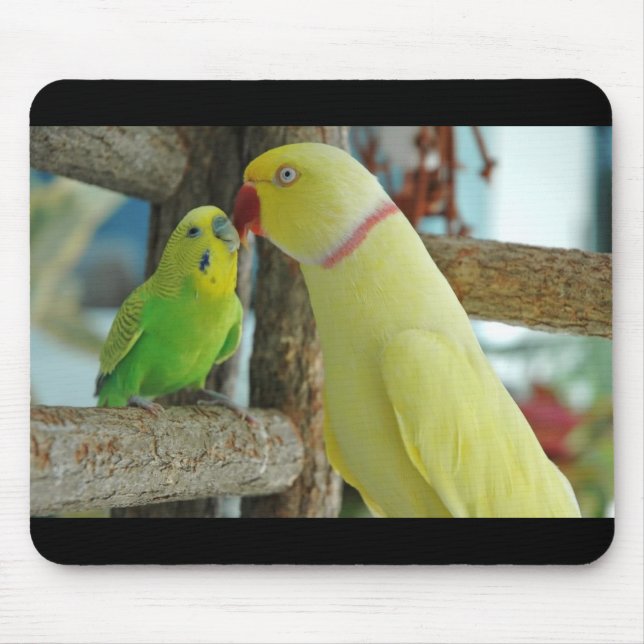 Indien Ringneck et tapis de souris de baiser de (Devant)