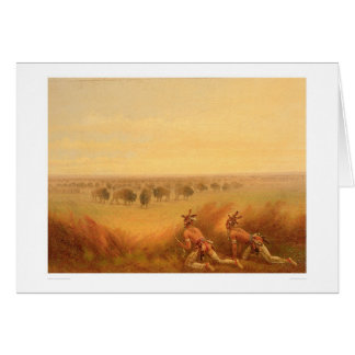 Indiens rampant sur un troupeau de Buffalo (1907A)