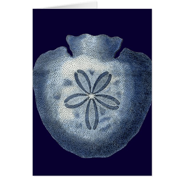 Indigo Shells III (Devant)