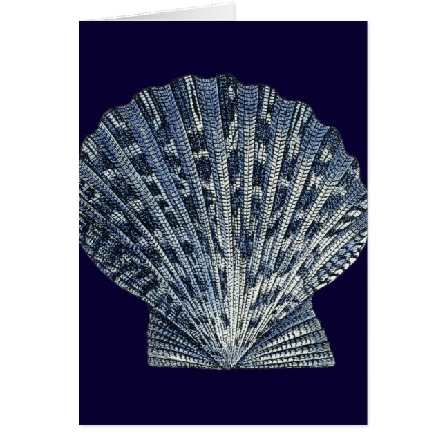 Indigo Shells VIII (Devant)