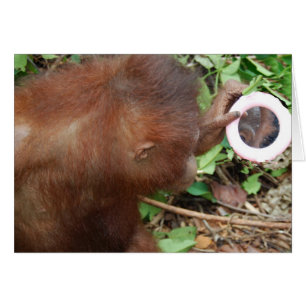 Individu magnifique d'admiration bonjour