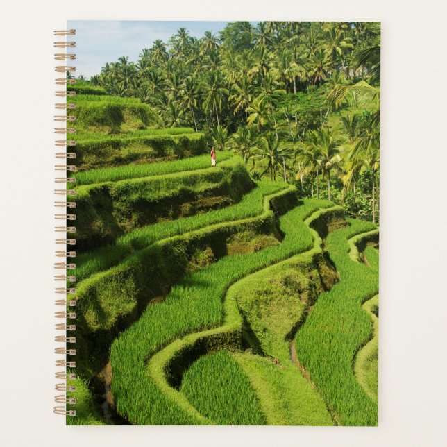 Indonésie, Bali | Rizières (Devant)