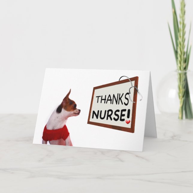 Infirmière Merci Chihuahua Chien (Devant)