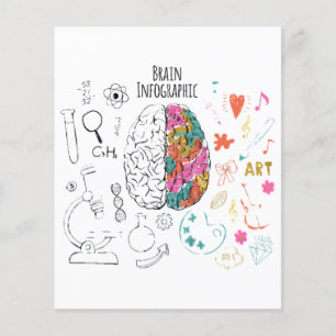 Infographie du cerveau