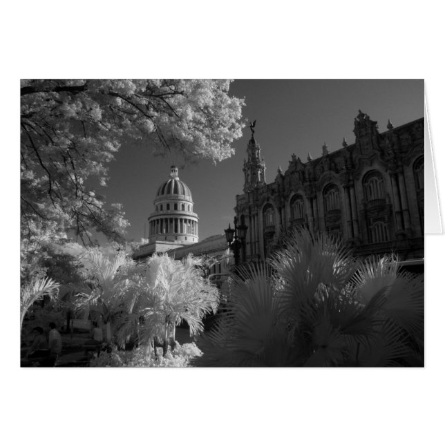 Infrarouge du dôme du bâtiment du Capitole à La Ha (Devant horizontal)