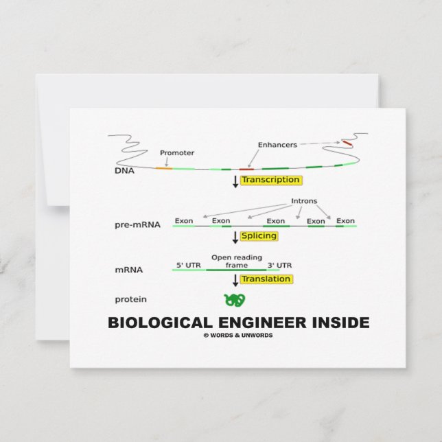 Ingénieur biologique à l'intérieur (Devant)