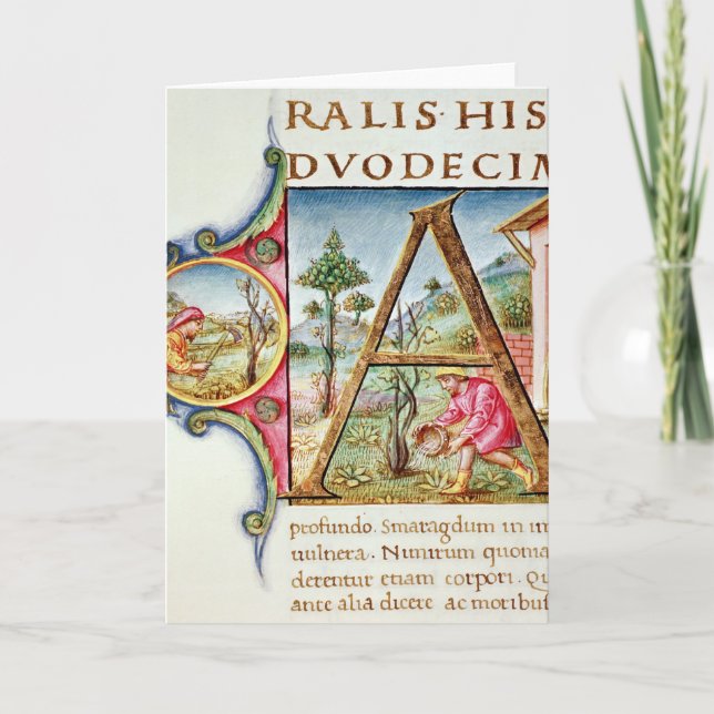 Initiale "A" de Historiated dépeignant (Devant)