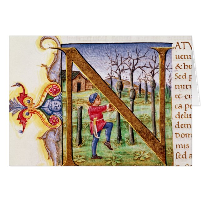 Initiale 'N de Historiated (Devant horizontal)
