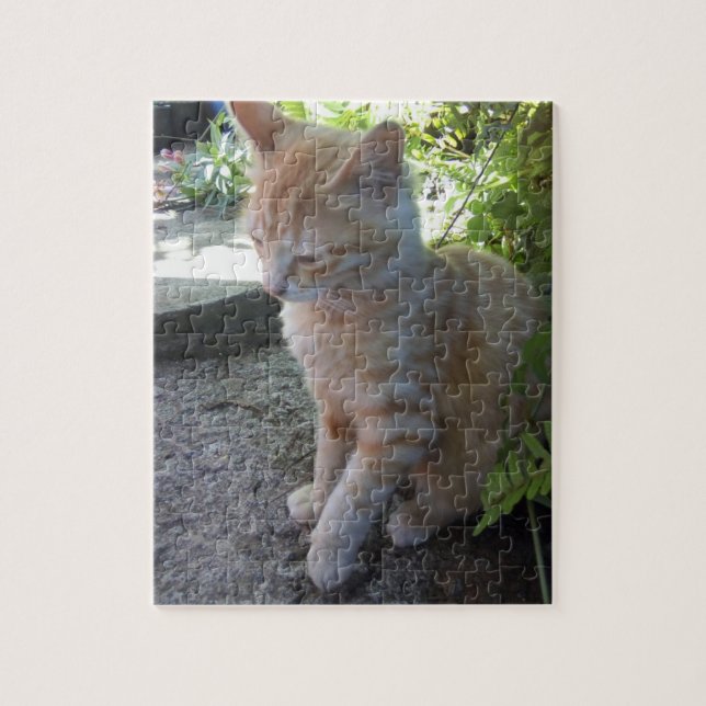Innocent Cat Puzzle (Vertical)
