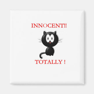 Innocent Kitty Magnet