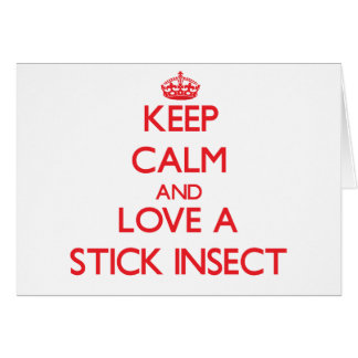 Insecte de bâton
