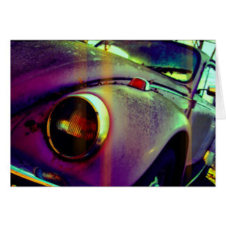 Insecte de scarabée