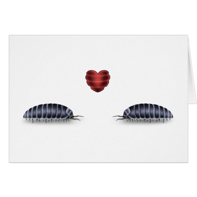 Insecte de truie Luv (laisse le petit pain (Devant horizontal)
