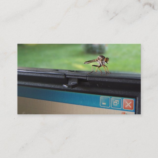 Insecte sur la carte de visite professionnelle de (Devant)
