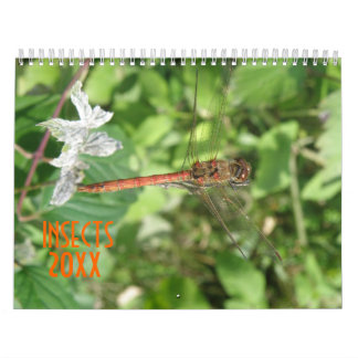 Insectes Calendrier personnalisé