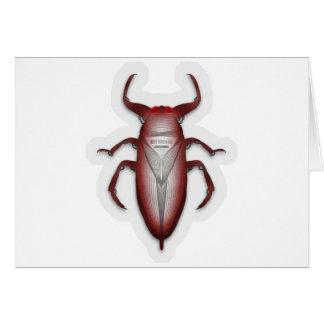 Insectes dans le code…