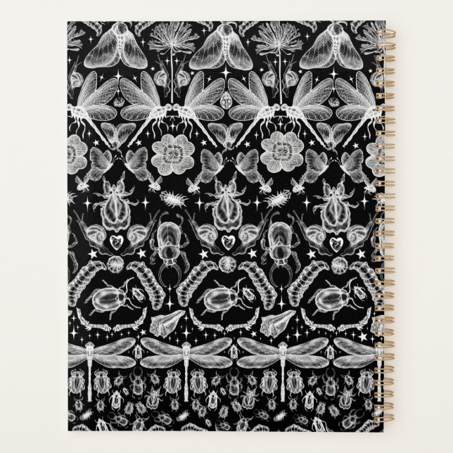 Insectes et bogues (Dos)