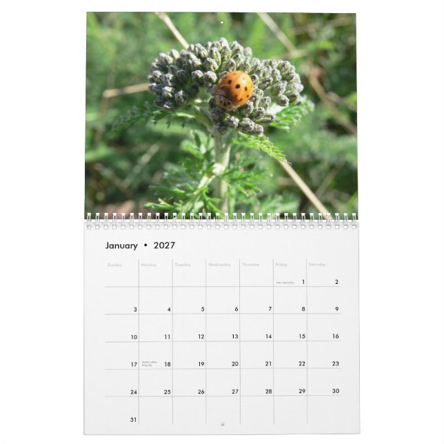 Insectes et calendrier des fleurs 2011 (Jan 2027)