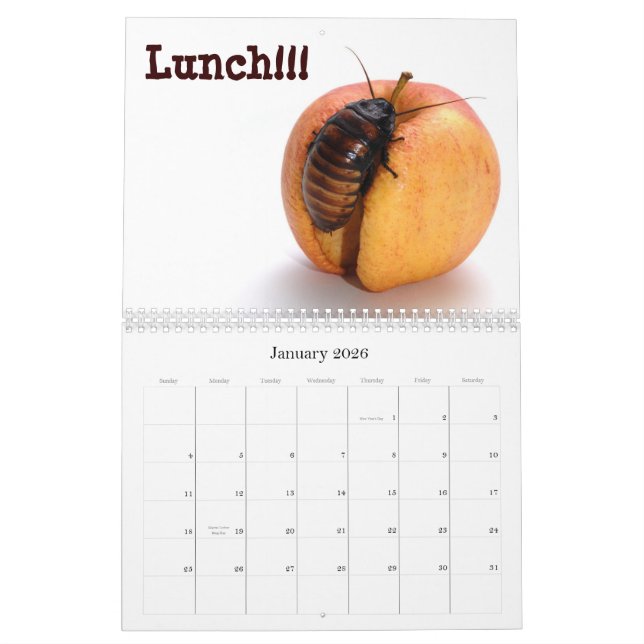 Insectes et tout autre calendrier de Wierdness (Jan 2026)