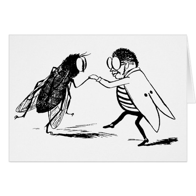 Insectes vintage dansant; mouche diptère (Devant horizontal)