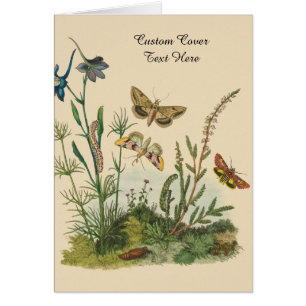 Insectes vintages, Papillons, Caterpillar
