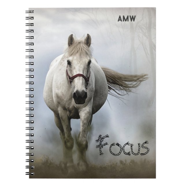 Inspiration, Cheval Blanc, Focus, Journal (Devant)