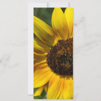 Inspirer Joy Sunflower Signet