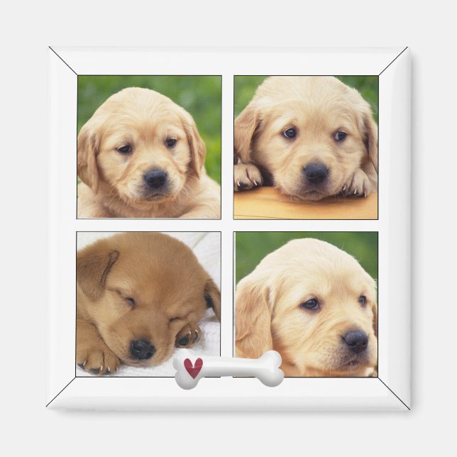 instagram photo chien magnets (Devant)